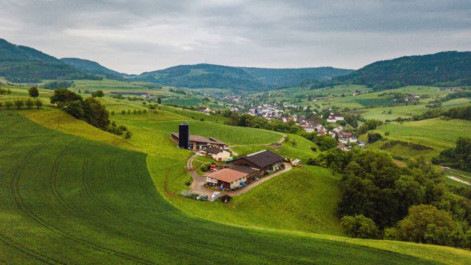 Wingertenhof_Reimann_Wölflinswil_Drohne