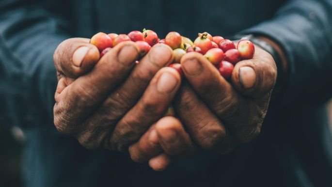 kaffebohnen-haende-ethics