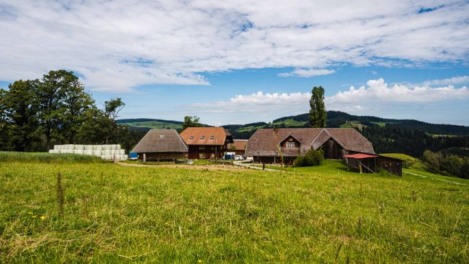Redhill Farm_Beer_Eggiwil_Hof
