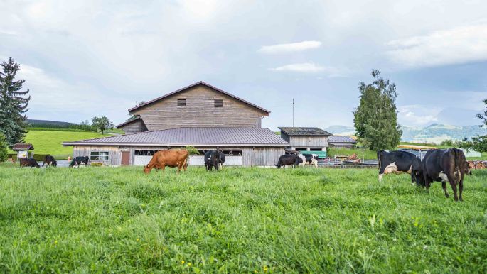 Oeggenringen_Jung-Sch?rmann_Eschenbach_Hof