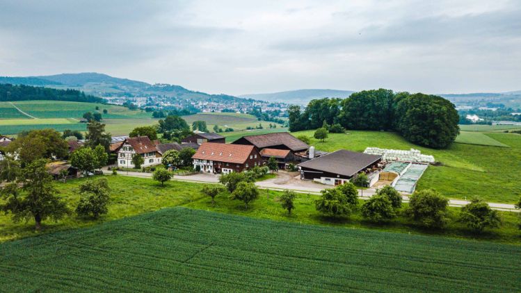 Kastelhof_Weilenmann_Niederhasli_Drohne