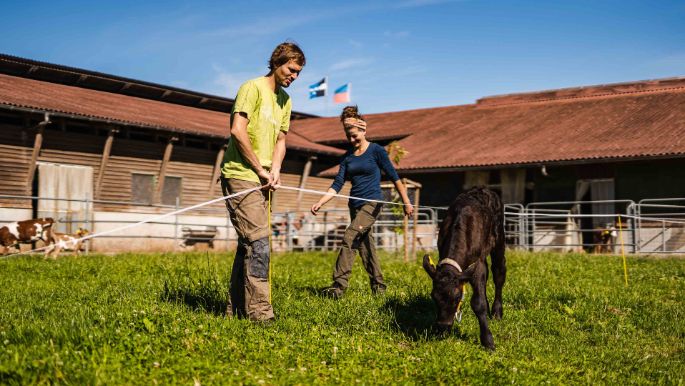 Langenmatt_Etterlin_Muri_Arbeit2