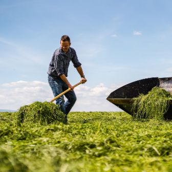 Raeberhof_Sommer_Ufhusen_Arbeit_zugeschnitten