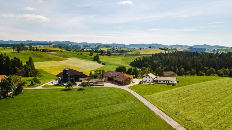 Raeberhof_Sommer_Ufhusen_Drohne