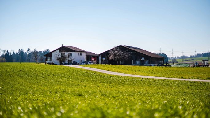 Hof Baltensperger_Baltensperger_Brütten_Hof