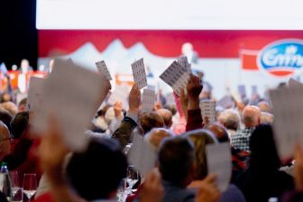 emmi_home_corporate-governance