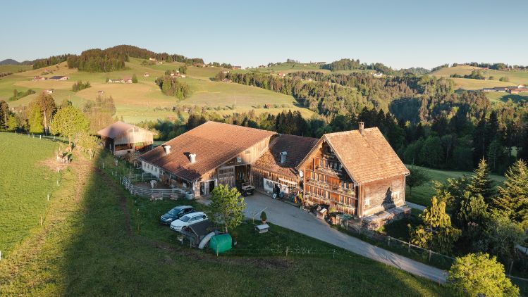 Nord_Mueller_Stein_Drohne