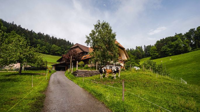Bruuchere_Guggisberg_Zimmerwald_Hof