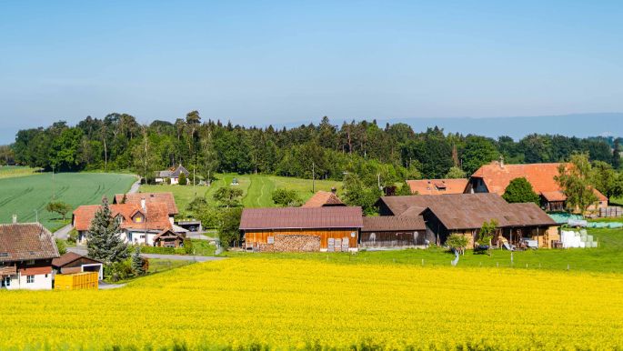 Wyssmann_Wyssmann_Neuenegg_Hof