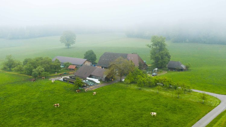 Hager_Minder_Auswil_Drohne