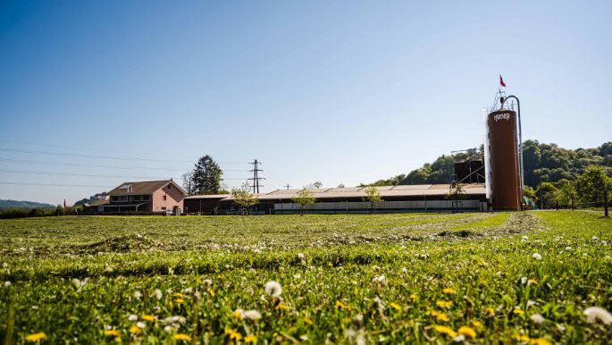 Wytihof_Furter_Staufen_Hof