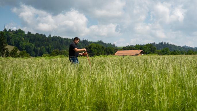 Landwirtschaftsbetrieb Schloss_H?usler_Sumiswald_Arbeit