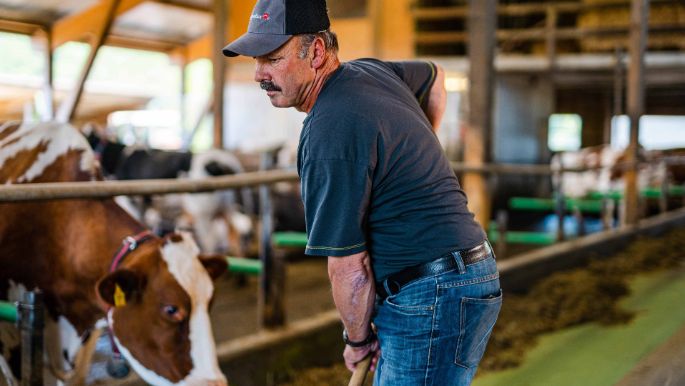 Hof_Lüscher_Lüscher_Muhen_Arbeit