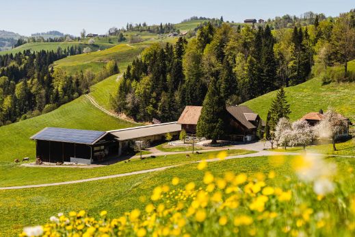 Neumättli_Lustenberger_Steinhuserberg_Hof