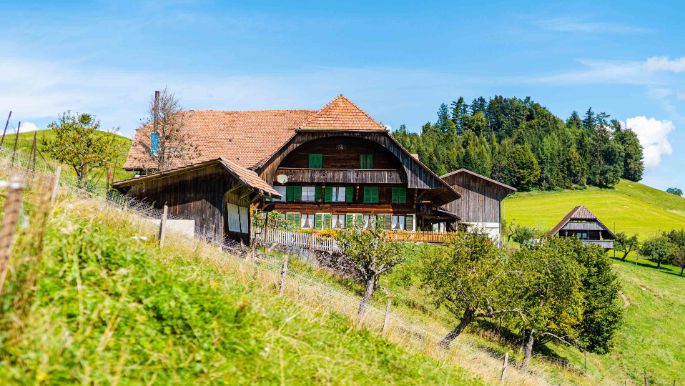 Vorderes_Gummi_Salzmann_Utzigen_Hof