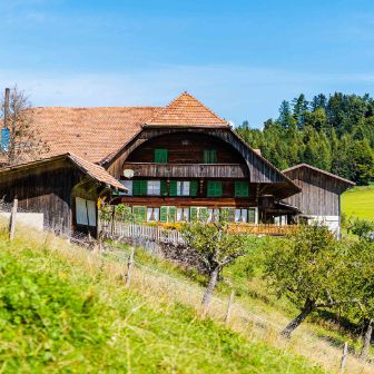 Vorderes_Gummi_Salzmann_Utzigen_Hof