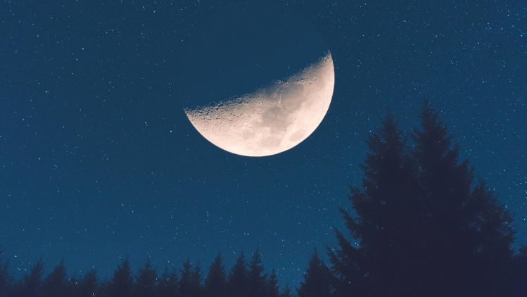 moments-night-moon-forest-sleepless