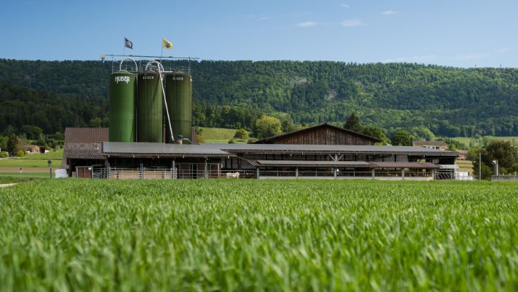 Steinbrüggli_Schlatter_Otelfingen_Hof