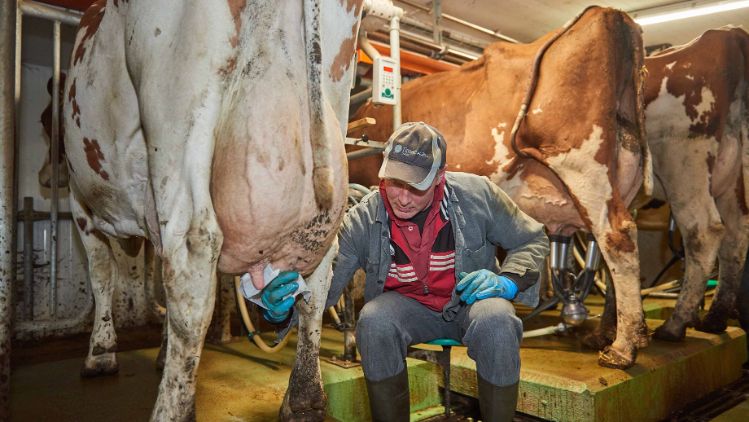 Hof Steller, Karin und Hansueli Schärer-Strebel, Glashütten_Stall