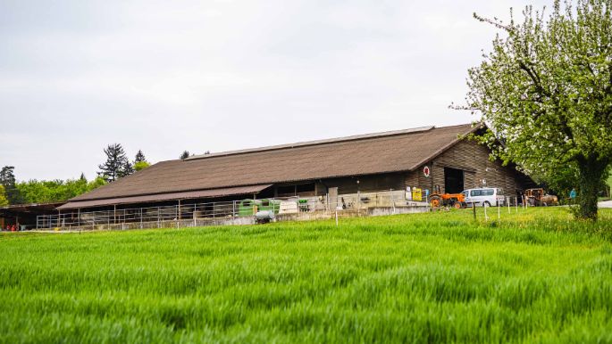 Bächlihof_Käser_Oberflachs_Hof