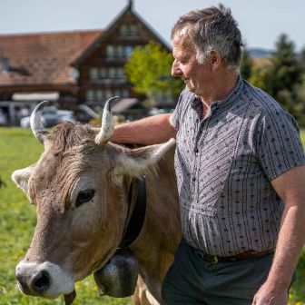 Nord_Müller_Stein_text image