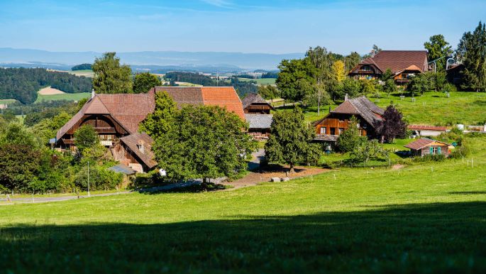 Hof_Basler_Basler_Mittelhaeusern_Hof