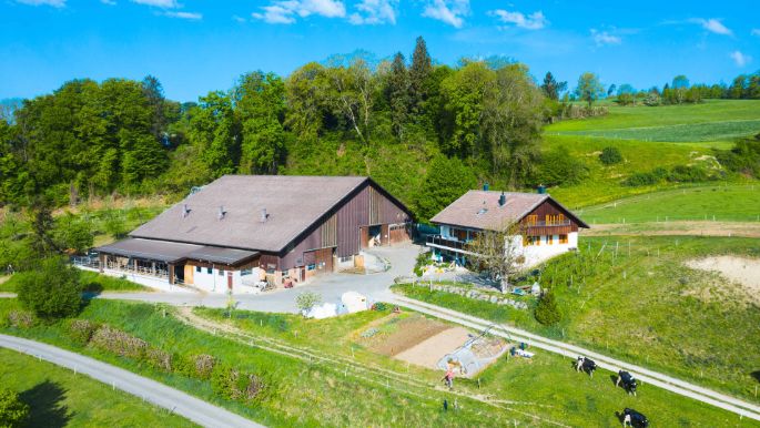 Buckacherhof_Knecht_Schneisingen_Drohne