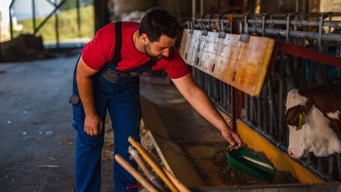 Hof_Basler_Basler_Mittelhaeusern_Arbeit