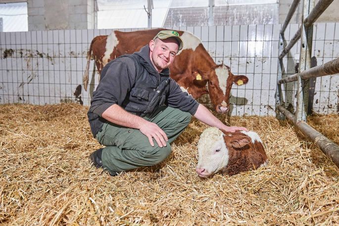 Sädelhof, Thomas und Jan Bühlmann-Scheidegger, Berikon_Stall mit Kuh_3