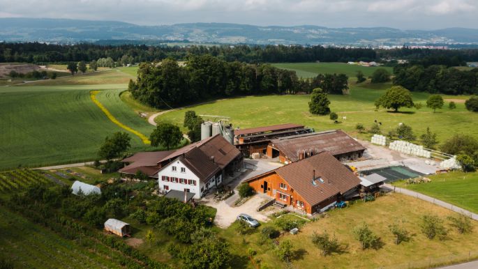 Im Feld_Frei_Freudwil_Drohne