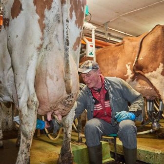 Hof Steller, Karin und Hansueli Schärer-Strebel, Glashütten_Stall_2