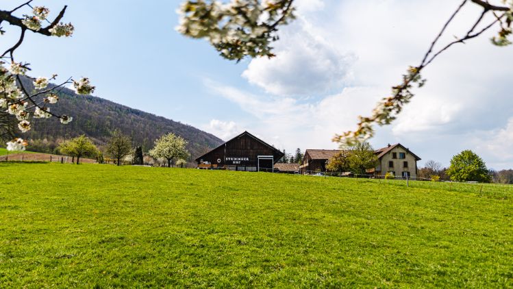 Hof Studinger_Waser-Studinger_Dulliken_Hof