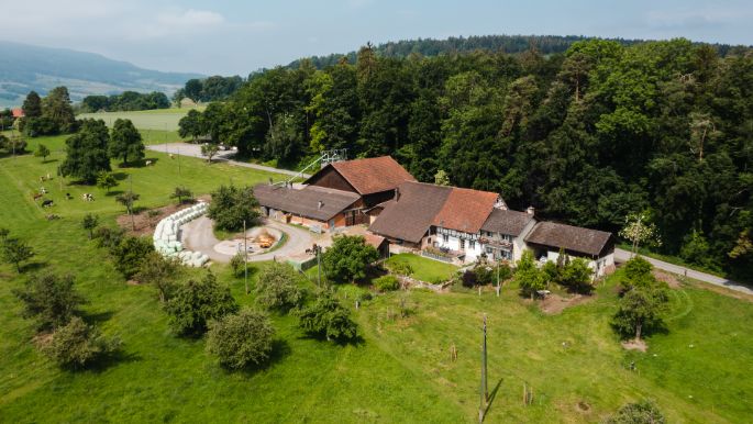 Egghof_Lienhard_Steinmaur_Drohne