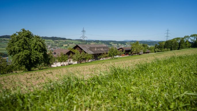 Grossberghof_Häfliger_Triengen_Hof