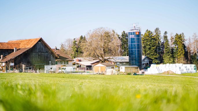 Mueller_Top_Ace_Farm_Mueller_Forch_Hof