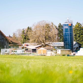 Mueller_Top_Ace_Farm_Mueller_Forch_Hof