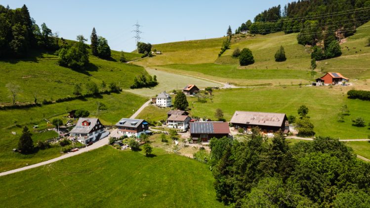 Chrinnehof_Kindlimann_Wald_Drohne