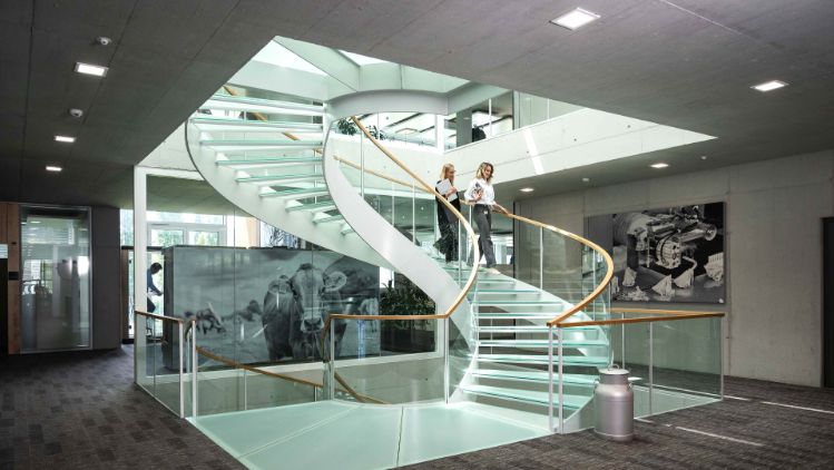 finanzkalender-stage