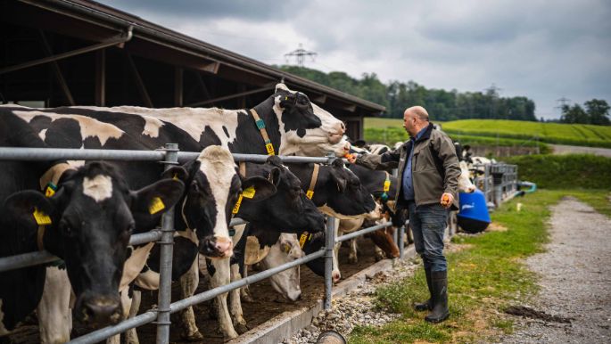 Mattenhof_Frei_Adlikon_Arbeit
