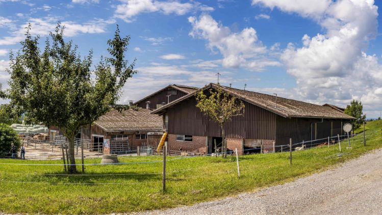 medienmitteilung-q-award-hof--stage