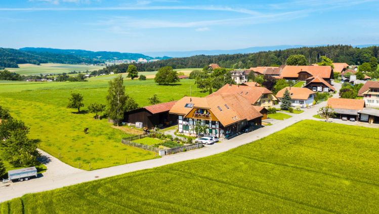 Hölzli_Bolz_Dieterswil_Drohne