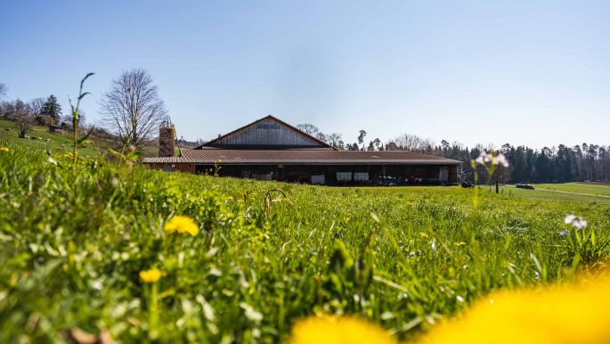 Wermatswiler Haldenhof_Meili_Wermatswil_Hof