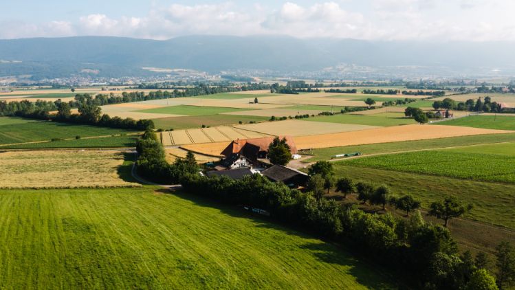 W?schbach_Schaub_R?ti bei B?ren_Drohne