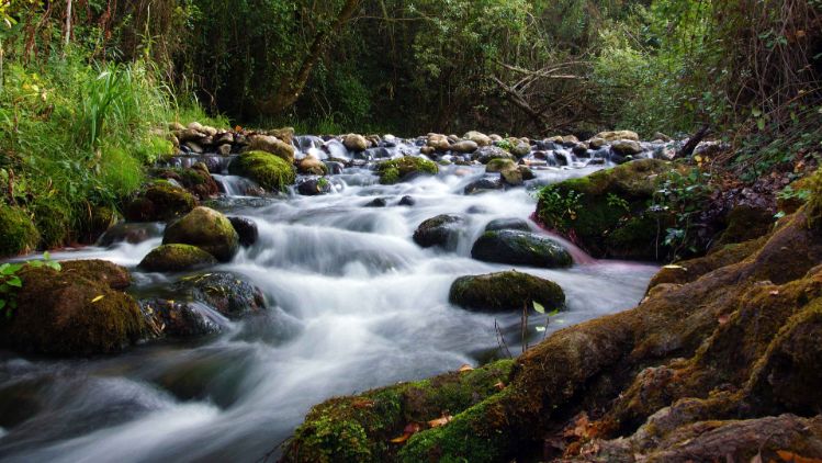 sustainability-wasserstrom