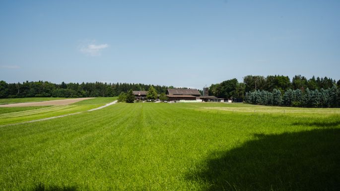 Waldhof Steinmann_Steinmann_Büttikon_Hof