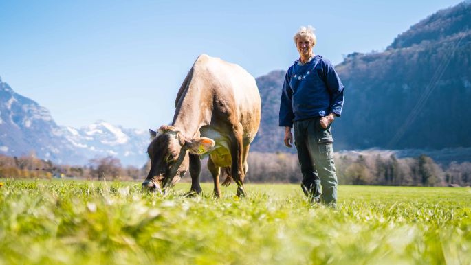 Muellerhof_Mueller_Weesen_Kuh_1