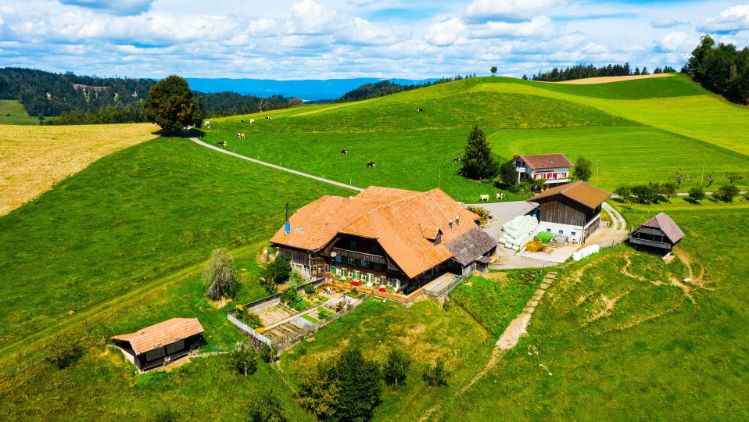 Vorderes_Gummi_Salzmann_Utzigen_Drohne