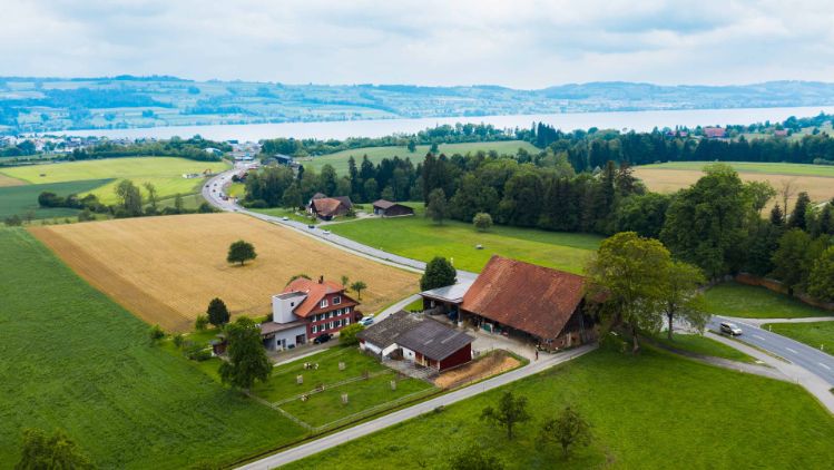 Gallee_Koch-Frey_Sempach_Drohne