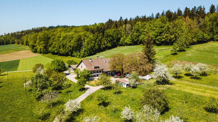 Talhof_Blaser_Seengen_Drohne