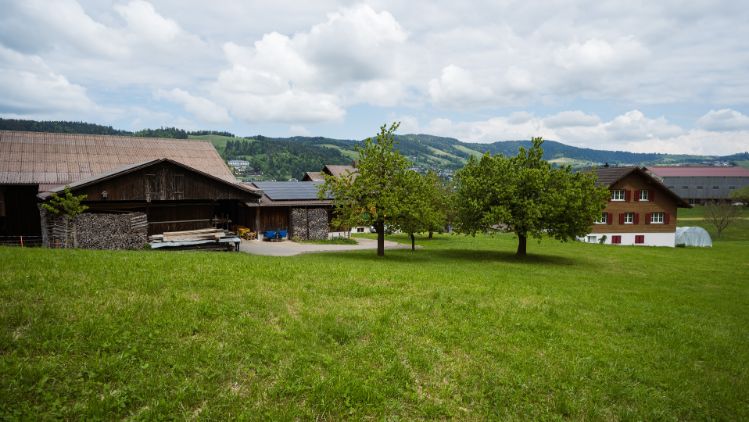 Ruchgmeind_Niederberger_Unteraegeri_Hof